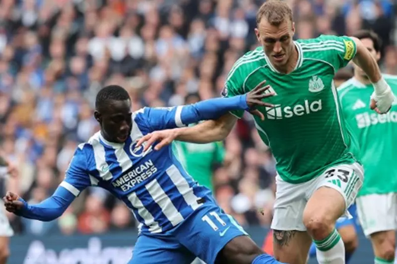 نيوكاسل يونايتد وبرايتون